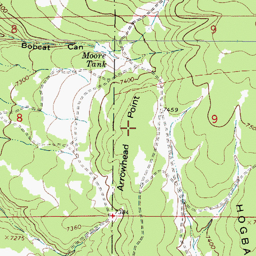 Topographic Map of Arrowhead Point, NM