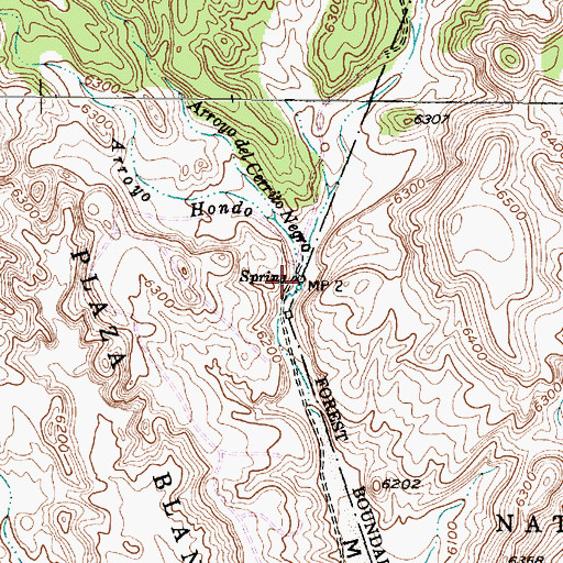 Topographic Map of Arroyo del Cerrito Negro, NM