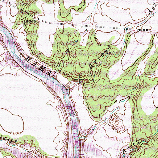 Topographic Map of Arroyo del Chamiso, NM