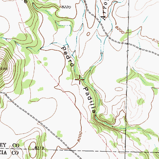 Topographic Map of Arroyo Caoneros, NM