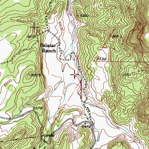 Topographic Map of Arroyo Carreras, NM