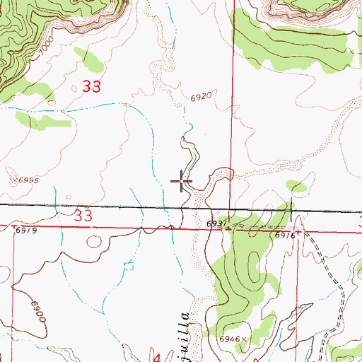 Topographic Map of Arroyo Chijuillita, NM