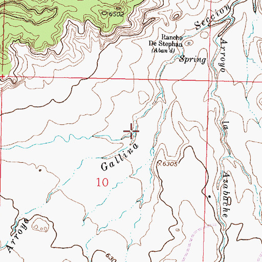 Topographic Map of Arroyo Gallina, NM