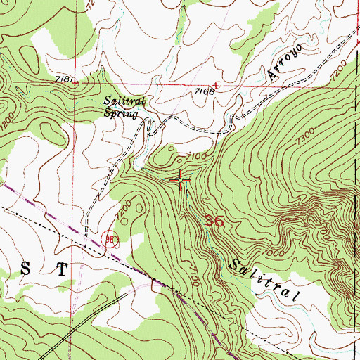 Topographic Map of Arroyo Jaspe, NM