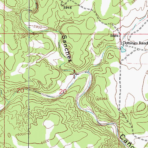 Topographic Map of Arroyo Sanchez, NM