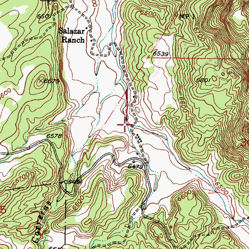 Topographic Map of Arroyo Sejitas, NM