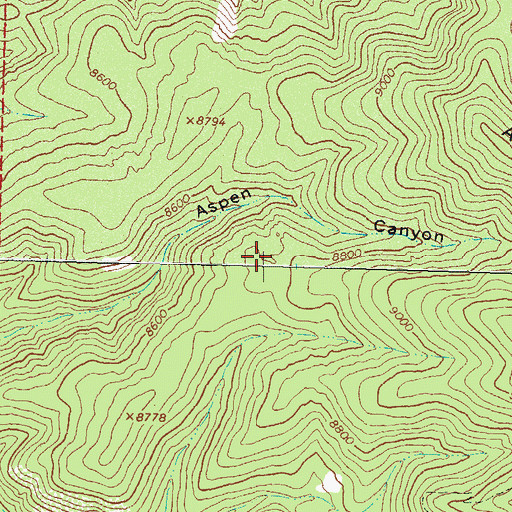 Topographic Map of Aspen Canyon, NM