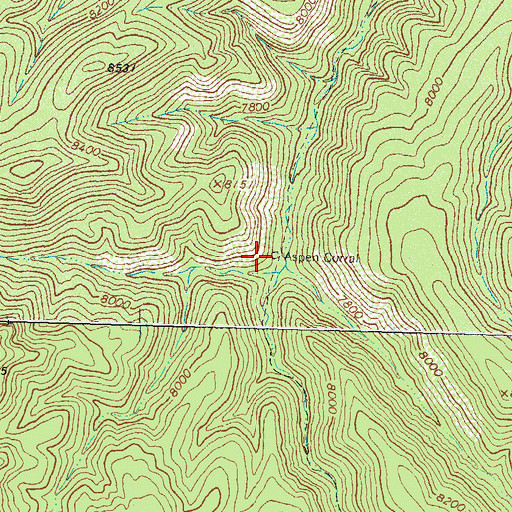 Topographic Map of Aspen Corral, NM