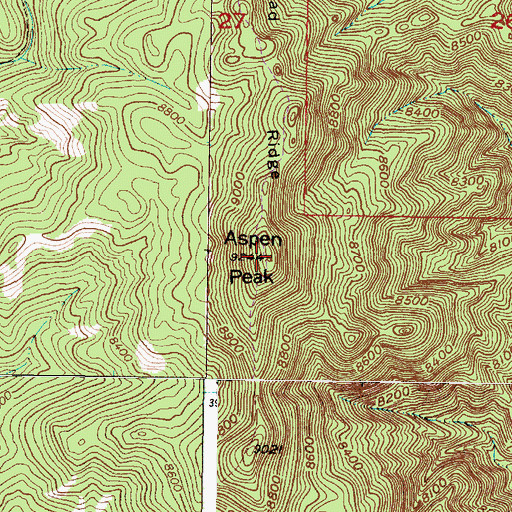 Topographic Map of Aspen Peak, NM