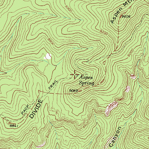 Topographic Map of Aspen Spring, NM