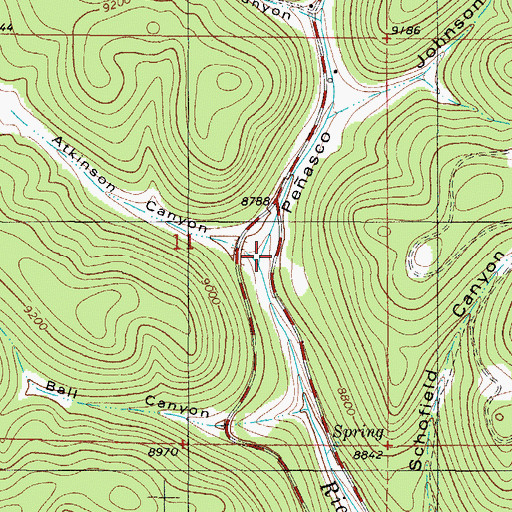 Topographic Map of Atkinson Canyon, NM