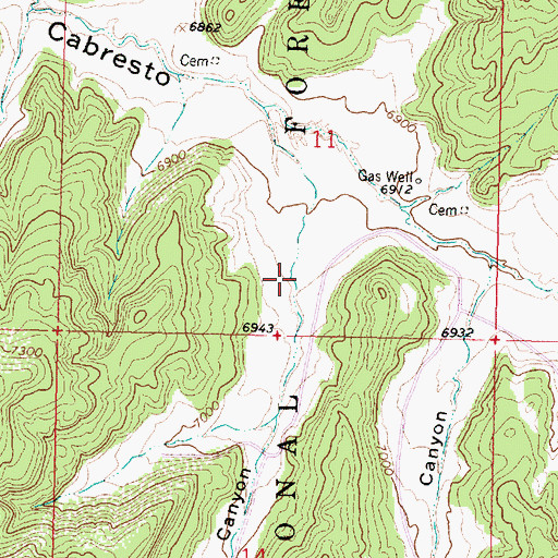 Topographic Map of Augustine Canyon, NM