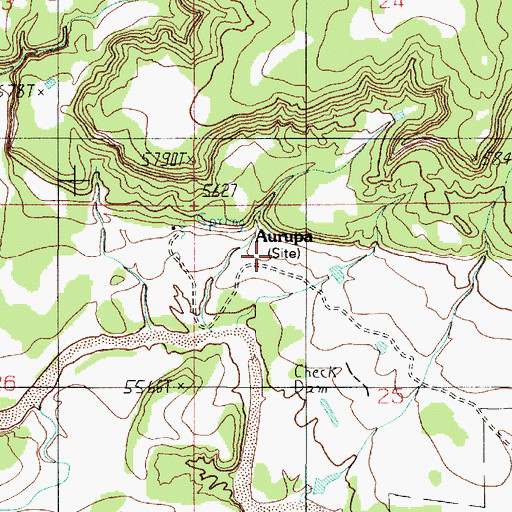 Topographic Map of Aurupa, NM