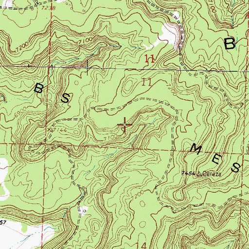 Topographic Map of B S Mesa, NM