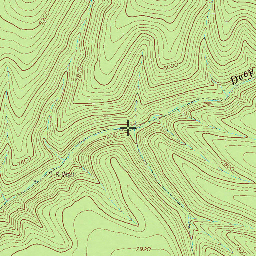 Topographic Map of BS Canyon, NM