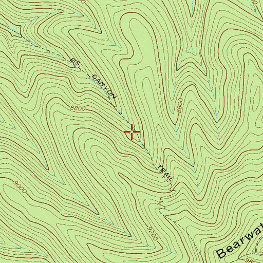 Topographic Map of BS Canyon Trail, NM