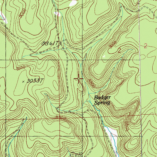 Topographic Map of Badger Spring, NM