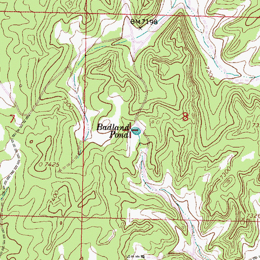 Topographic Map of Badland Pond, NM