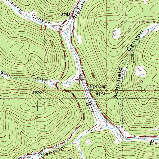 Topographic Map of Ball Canyon, NM