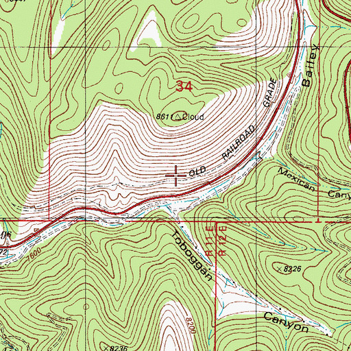 Topographic Map of Bailey Canyon, NM