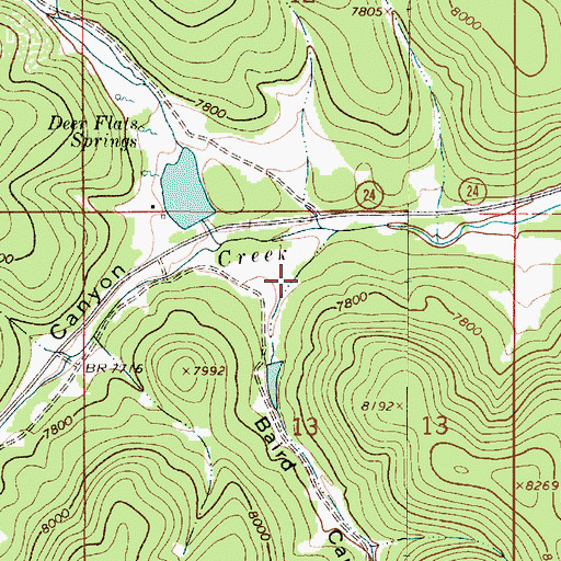 Topographic Map of Baird Canyon, NM