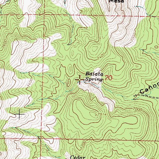 Topographic Map of Balata Spring, NM