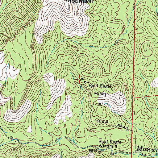 Topographic Map of Bald Eagle Mines, NM