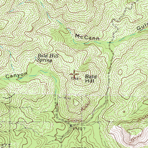 Topographic Map of Bald Hill, NM