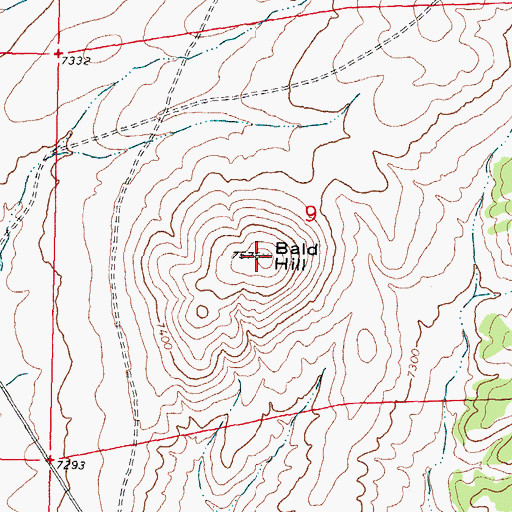 Topographic Map of Bald Hill, NM