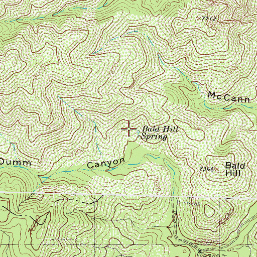 Topographic Map of Bald Hill Spring, NM