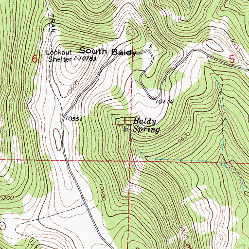 Topographic Map of Baldy Spring, NM