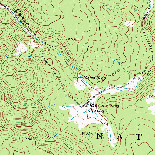 Topographic Map of Bales Seep, NM