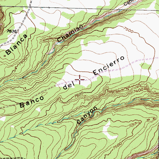 Topographic Map of Banco del Encierro, NM