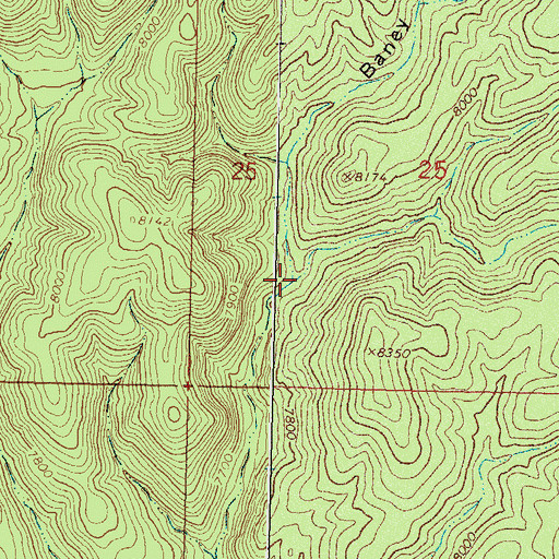 Topographic Map of Baney Park Canyon, NM