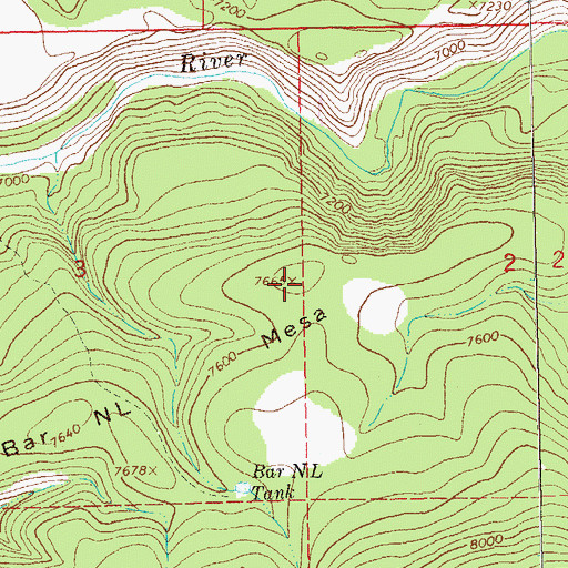Topographic Map of Bar NL Mesa, NM