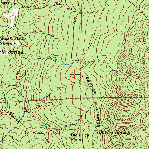 Topographic Map of Barber Springs Trail, NM