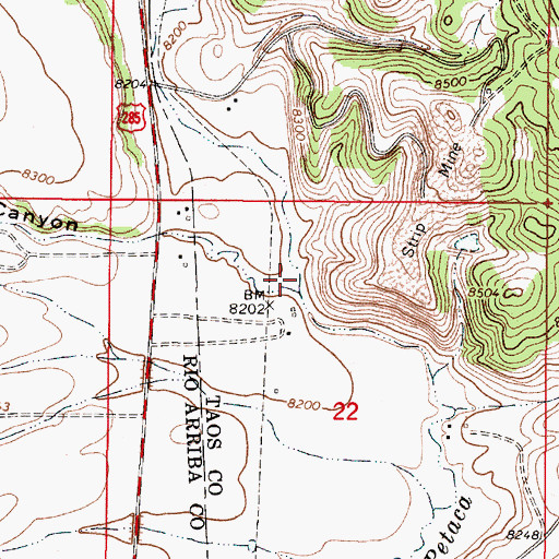 Topographic Map of Barela Canyon, NM