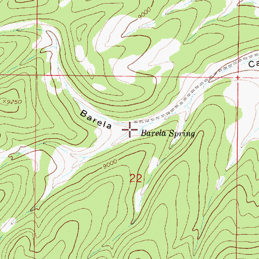 Topographic Map of Barela Spring, NM