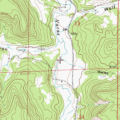 Topographic Map of Barley Canyon, NM