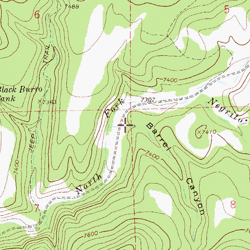 Topographic Map of Barrel Canyon, NM