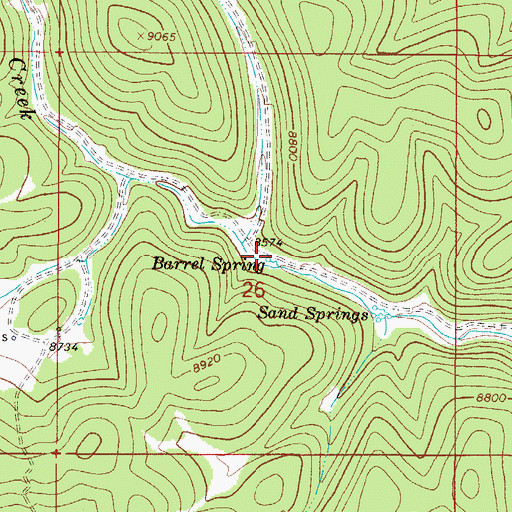 Topographic Map of Barrel Spring, NM
