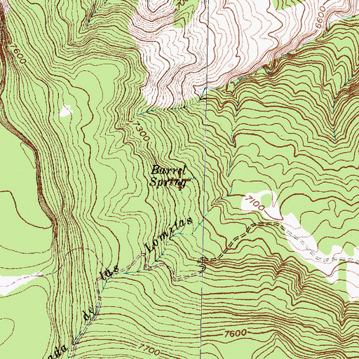 Topographic Map of Barrel Spring, NM