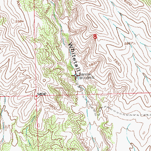 Topographic Map of Barrow Windmill, NM