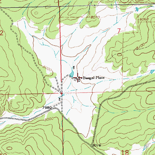 Topographic Map of Basgal Place, NM