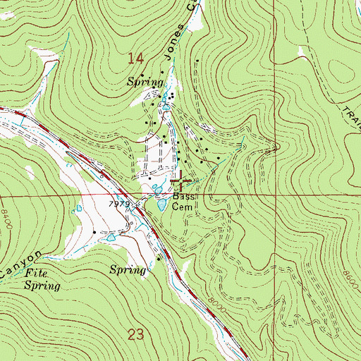Topographic Map of Bass Cemetery, NM