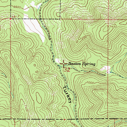 Topographic Map of Baston Spring, NM