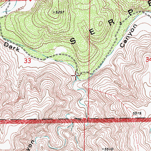 Topographic Map of Bear Canyon, NM