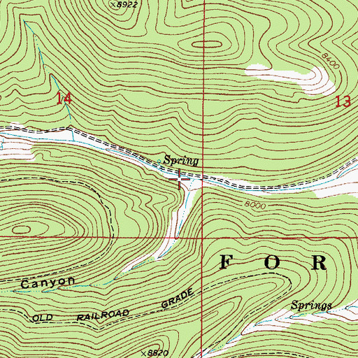 Topographic Map of Bear Canyon, NM