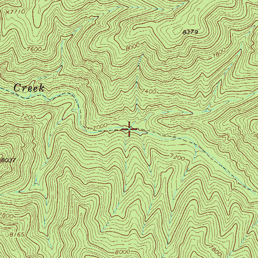 Topographic Map of Bear Canyon, NM
