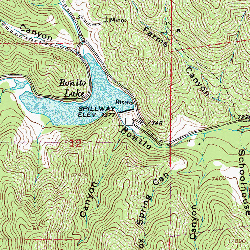Topographic Map of Bear Canyon, NM